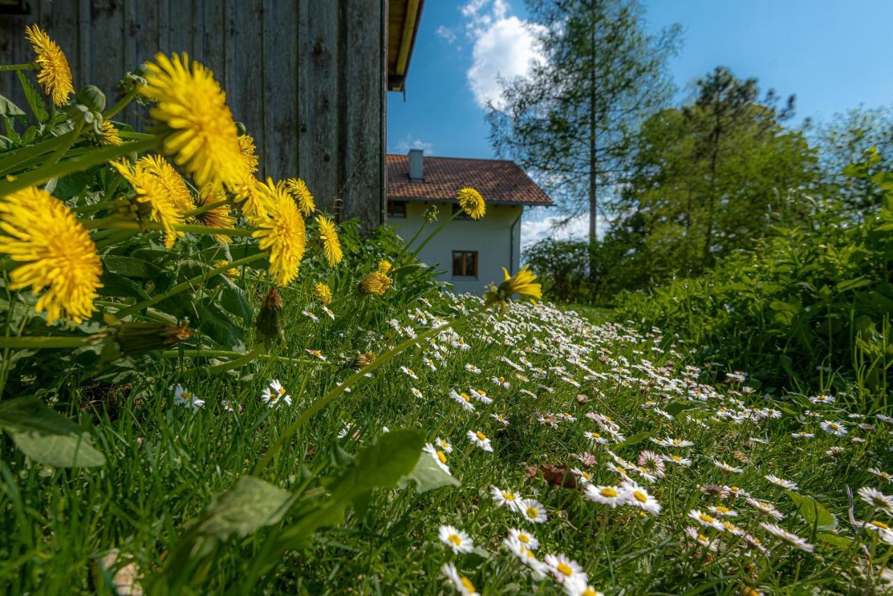Ferienhaus Schlierachtal Мисбах Экстерьер фото